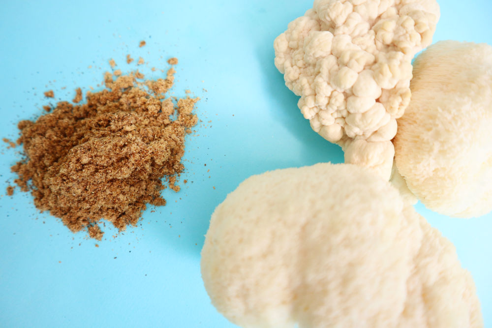 Melena de León: Qué es, para qué sirve y por qué todos hablan de este hongo